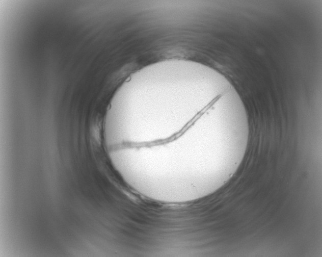 X0000065970334200603311845