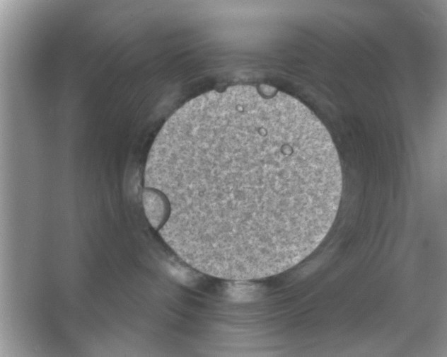 X0000065970336200603311845