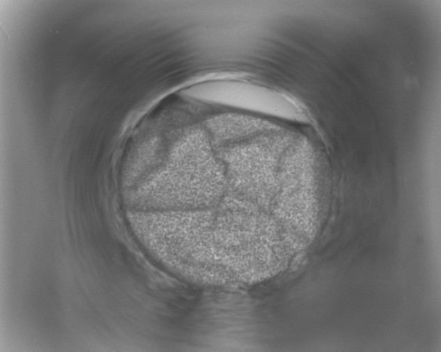 X0000065970337200603311844