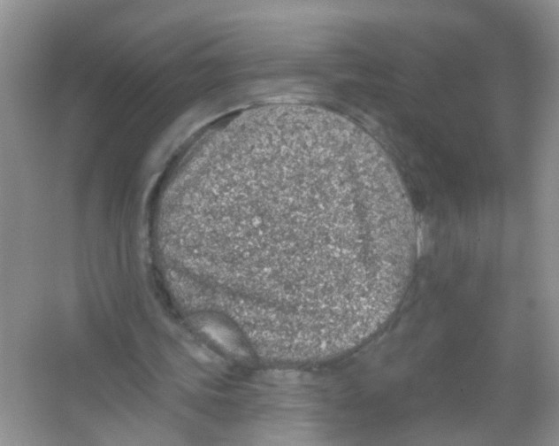 X0000065970339200603311844