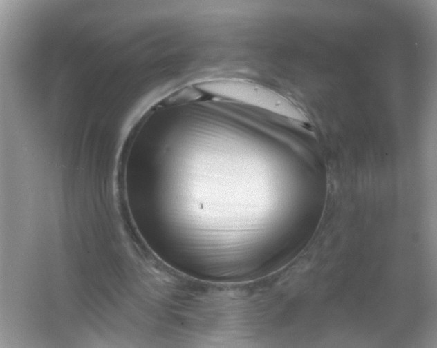 X0000065970340200603311844