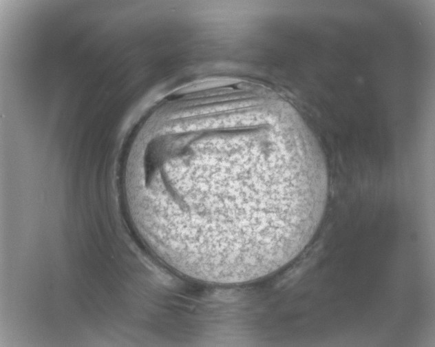 X0000065970341200603311844