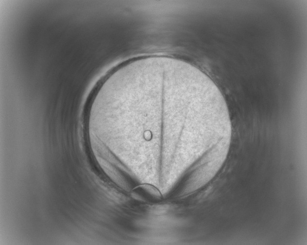 X0000065970342200603311844