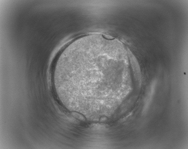 X0000065970343200603311844