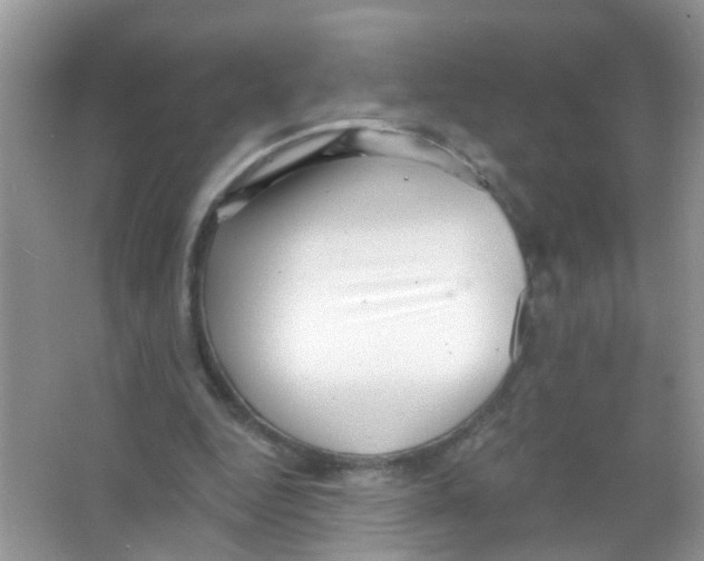 X0000065970344200603311844