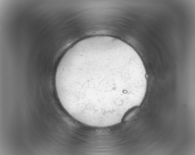 X0000065970345200603311844