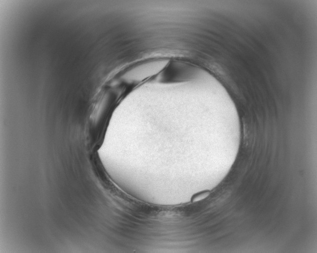 X0000065970348200603311844