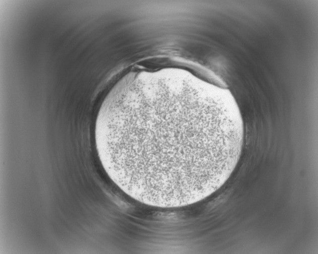 X0000065970349200603311844