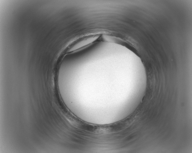 X0000065970350200603311844