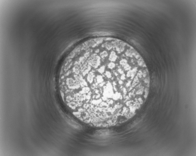 X0000065970351200603311844