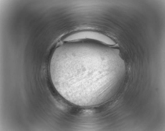 X0000065970352200603311844