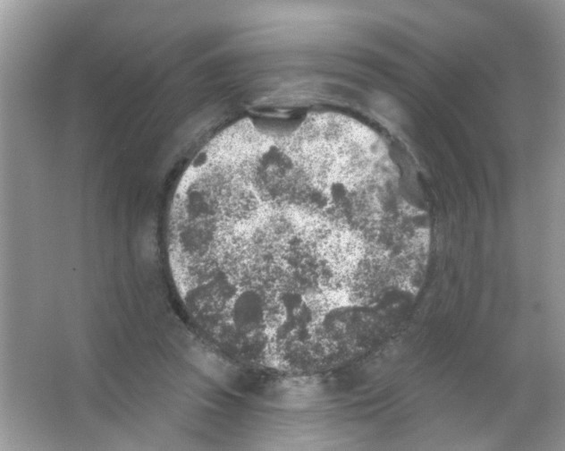 X0000065970353200603311844