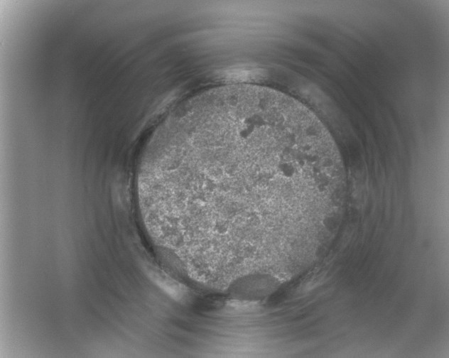 X0000065970357200603311845