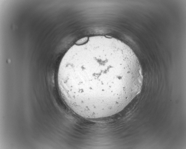 X0000065970358200603311845