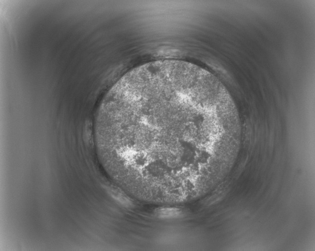 X0000065970361200603311845