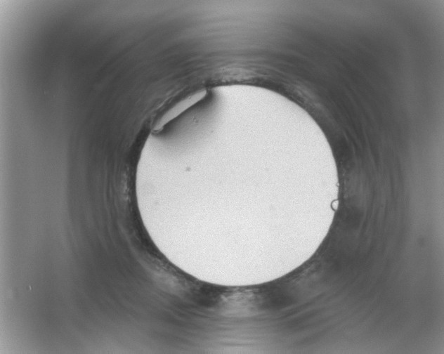 X0000065970362200603311845