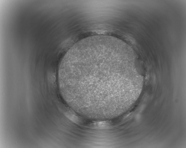 X0000065970365200603311845