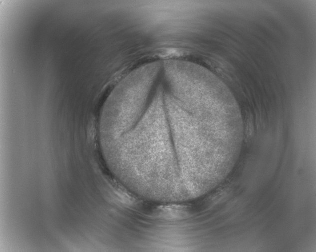 X0000065970367200603311845