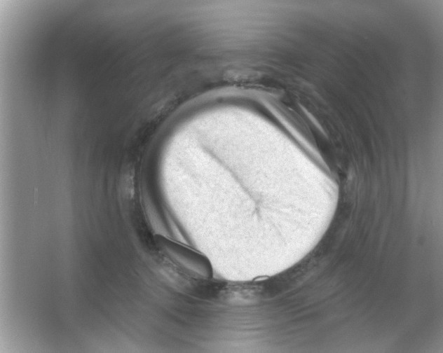 X0000065970368200603311845