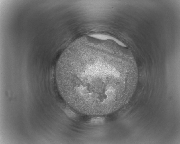 X0000065970369200603311845