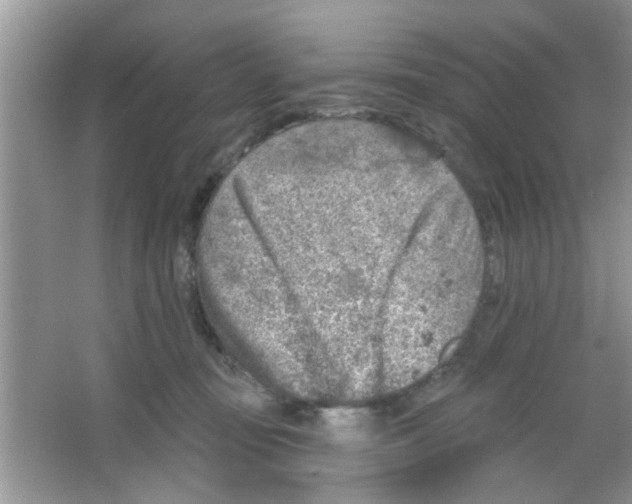 X0000065970371200603311845