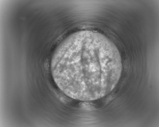 X0000065970372200603311845