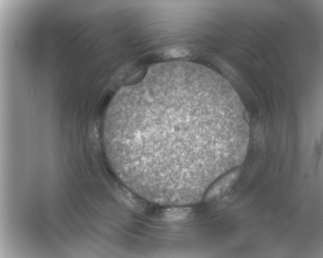 X0000065970373200603311845