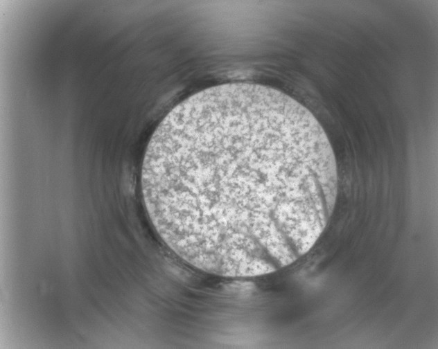 X0000065970374200603311845