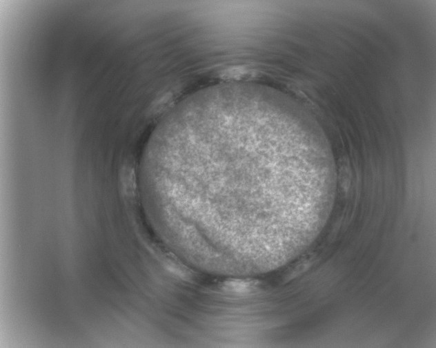 X0000065970375200603311845