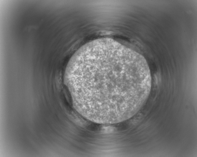 X0000065970376200603311845