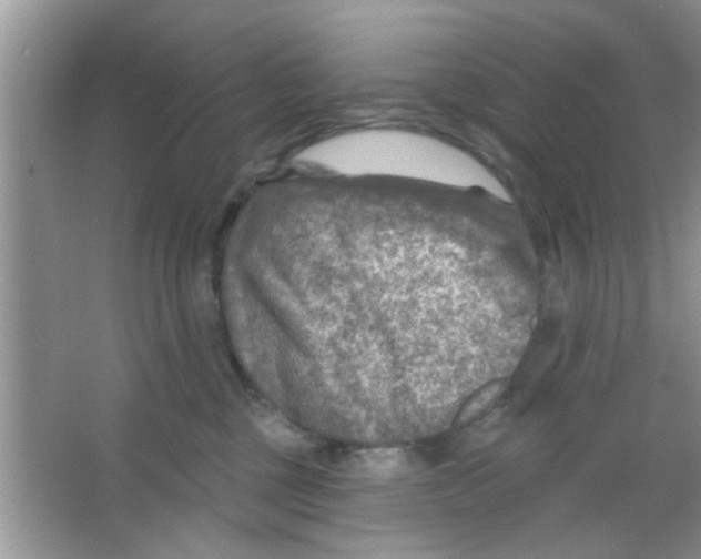 X0000065970377200603311845