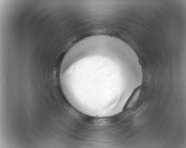 X0000065970378200603311845