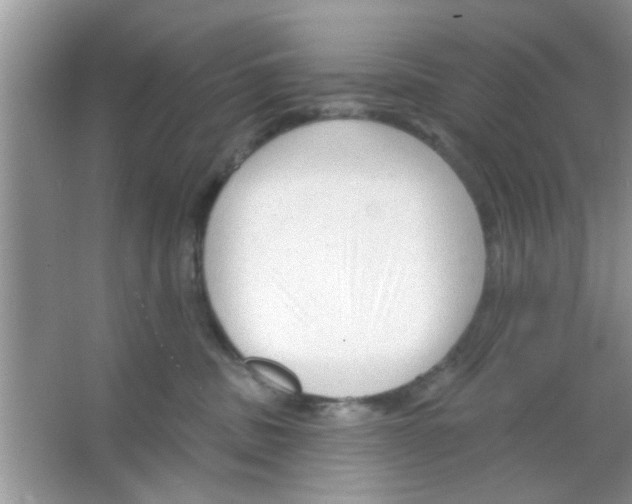 X0000065970379200603311845