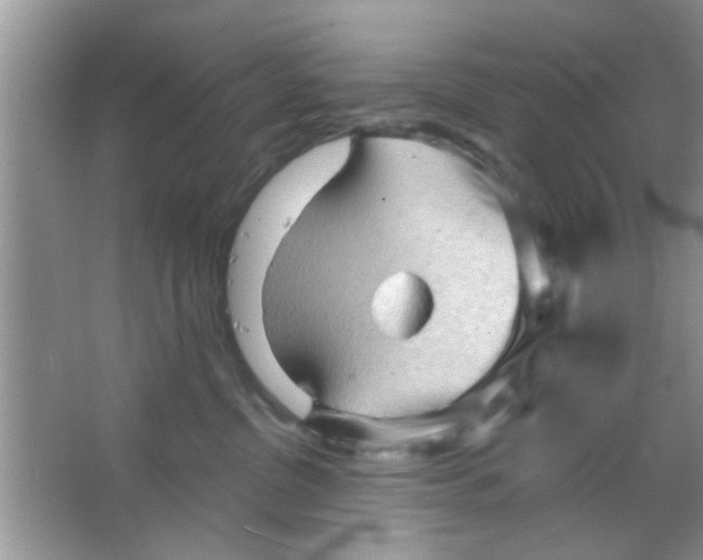 X0000065970380200603311845