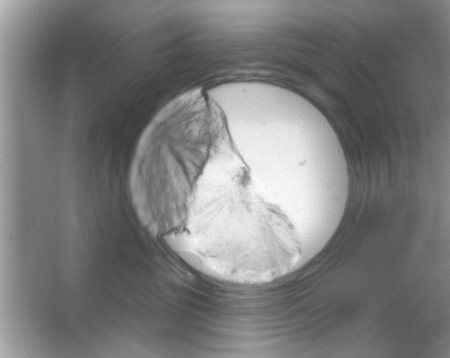 X0000065970381200603311845