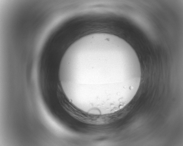 X0000065970383200603311845