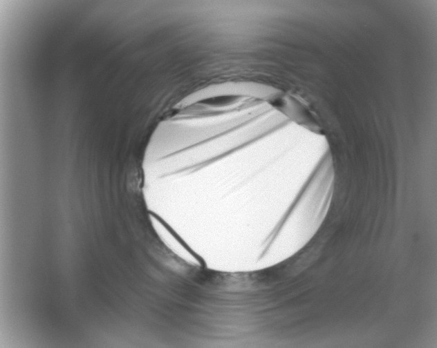 X0000065970384200603311845