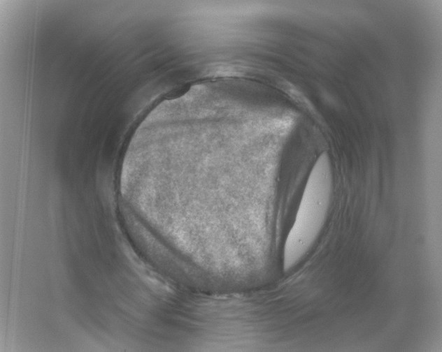 X0000065970386200603311844