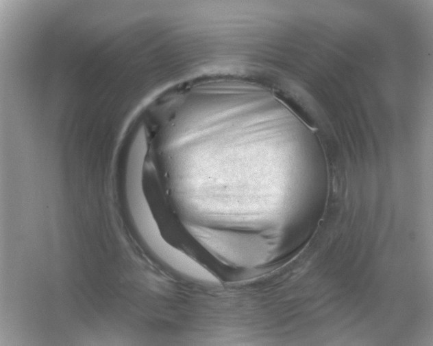 X0000065970388200603311844