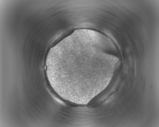 X0000065970389200603311844