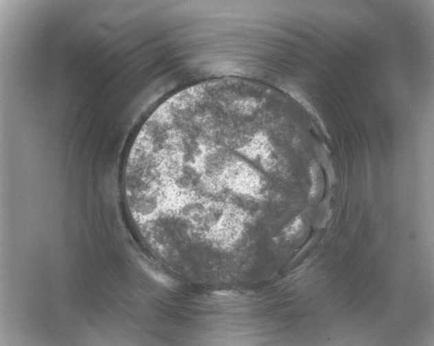 X0000065970390200603311844