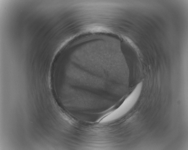 X0000065970391200603311844