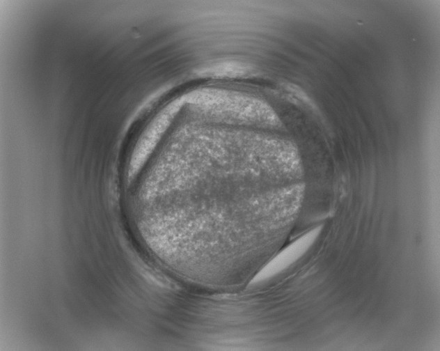 X0000065970392200603311844