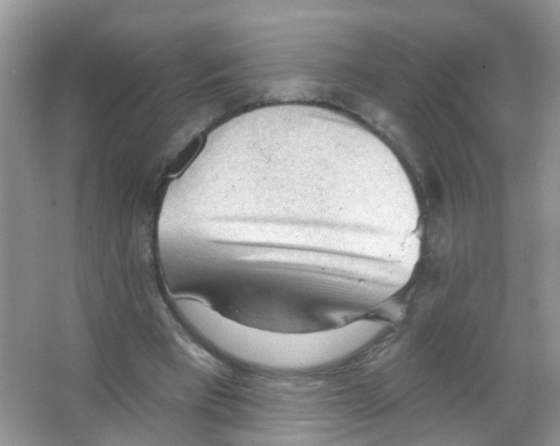 X0000065970393200603311844