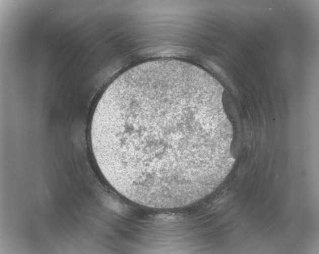 X0000065970394200603311844