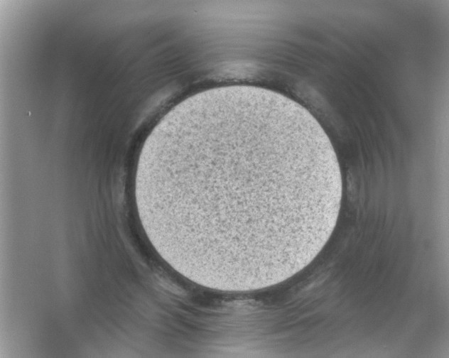 X0000065970396200603311844