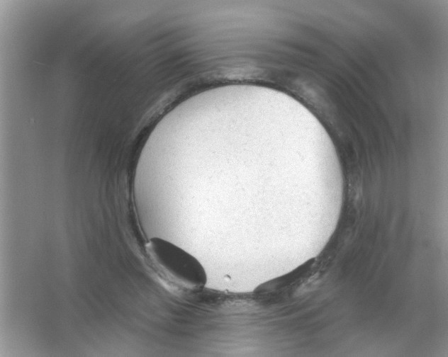 X0000065970397200603311844