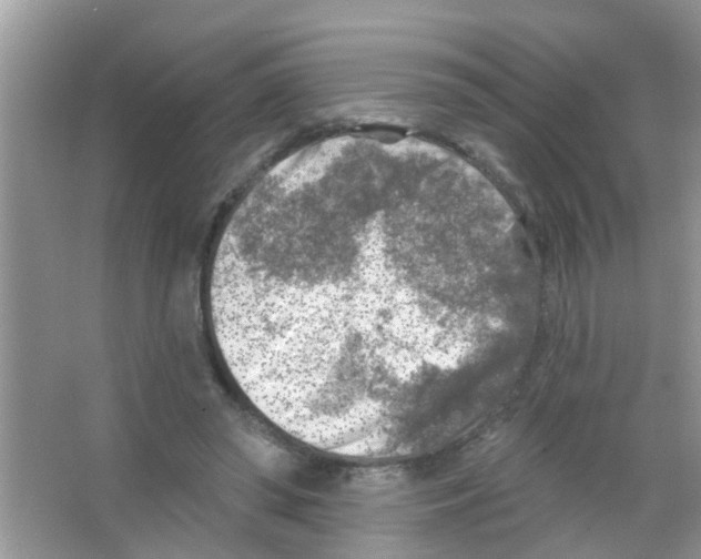 X0000065970398200603311844