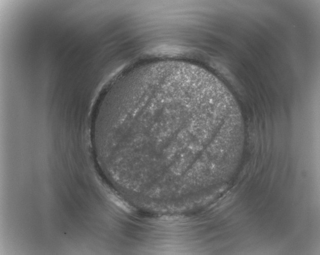 X0000065970399200603311844