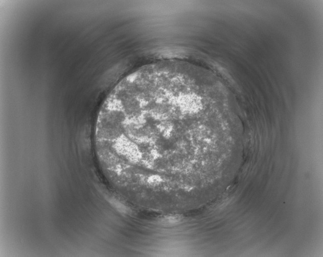 X0000065970402200603311844